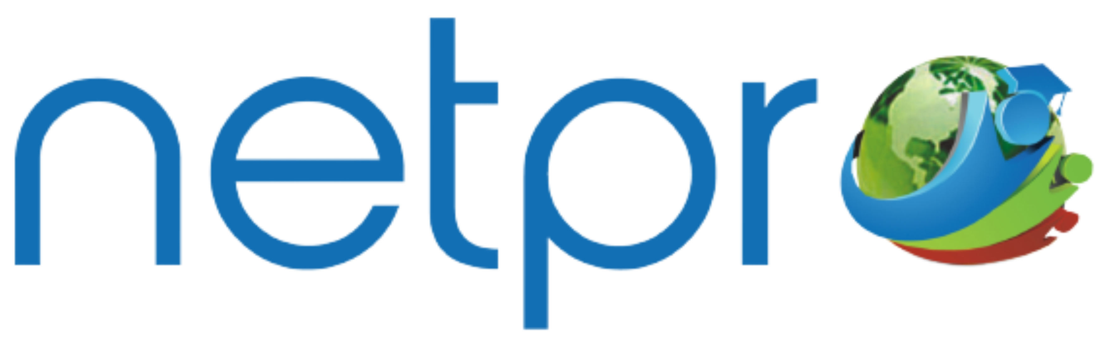 NetPro International